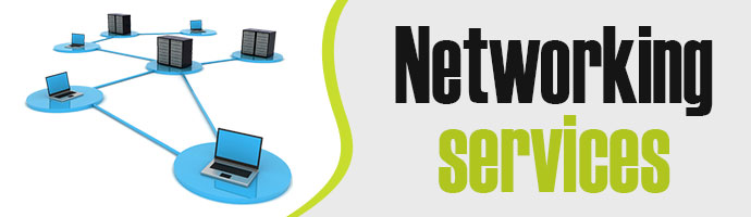 Computer Networking Services Delhi